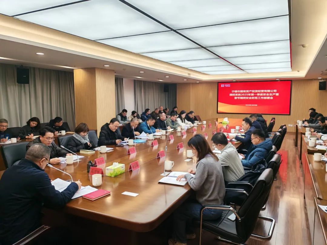 市国投公司召开国投系统2025年第一季度安全生产暨春节期间安全防范工作部署会