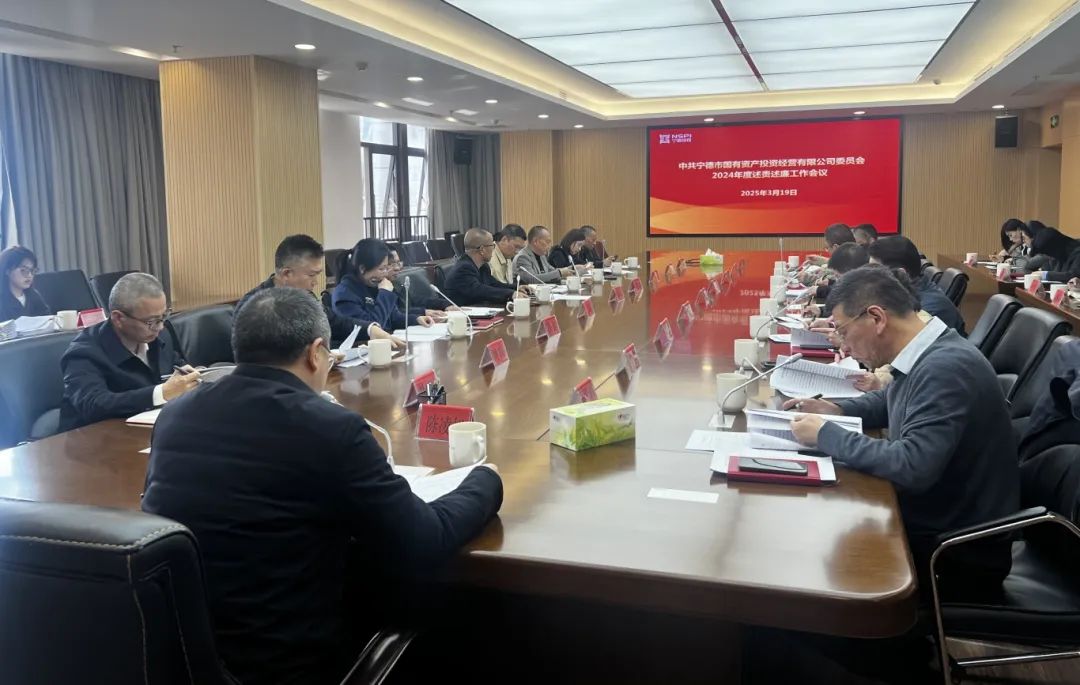 市国投公司党委召开2024年度述责述廉工作会议
