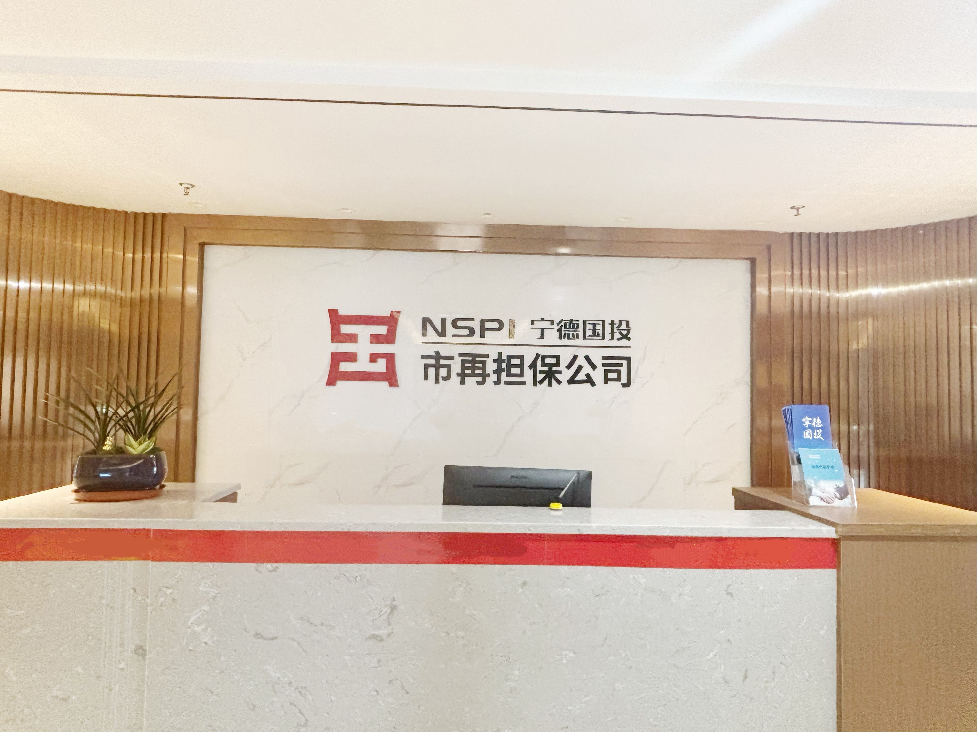 【牢记嘱托 谱写篇章】宁德:福建首批民间投资专项担保计划业务落地