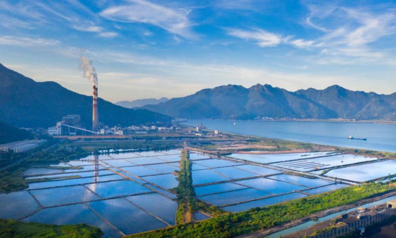 【开局起势 实绩检验】29载逐梦山海!闽东能源以“风光水火”绘就绿色发展新图景