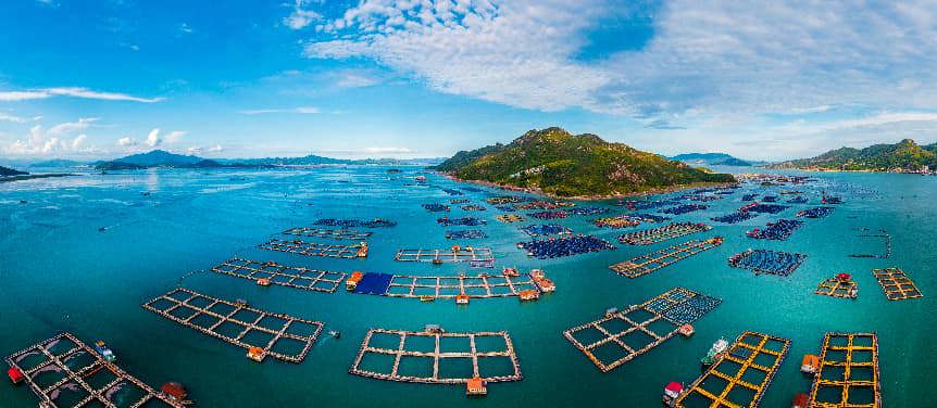 【开局起势 实绩检验】金融活水润闽东 精准担保惠万家