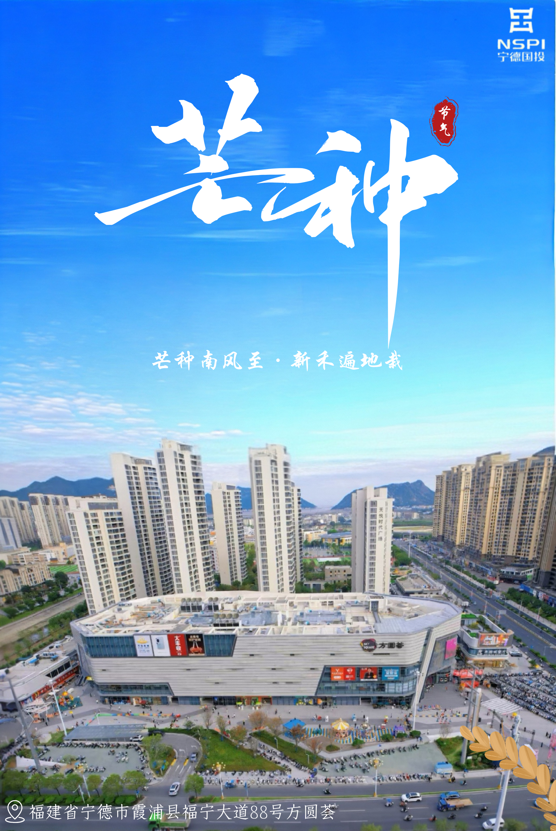 【节气·芒种】芒种南风至·新禾遍地栽