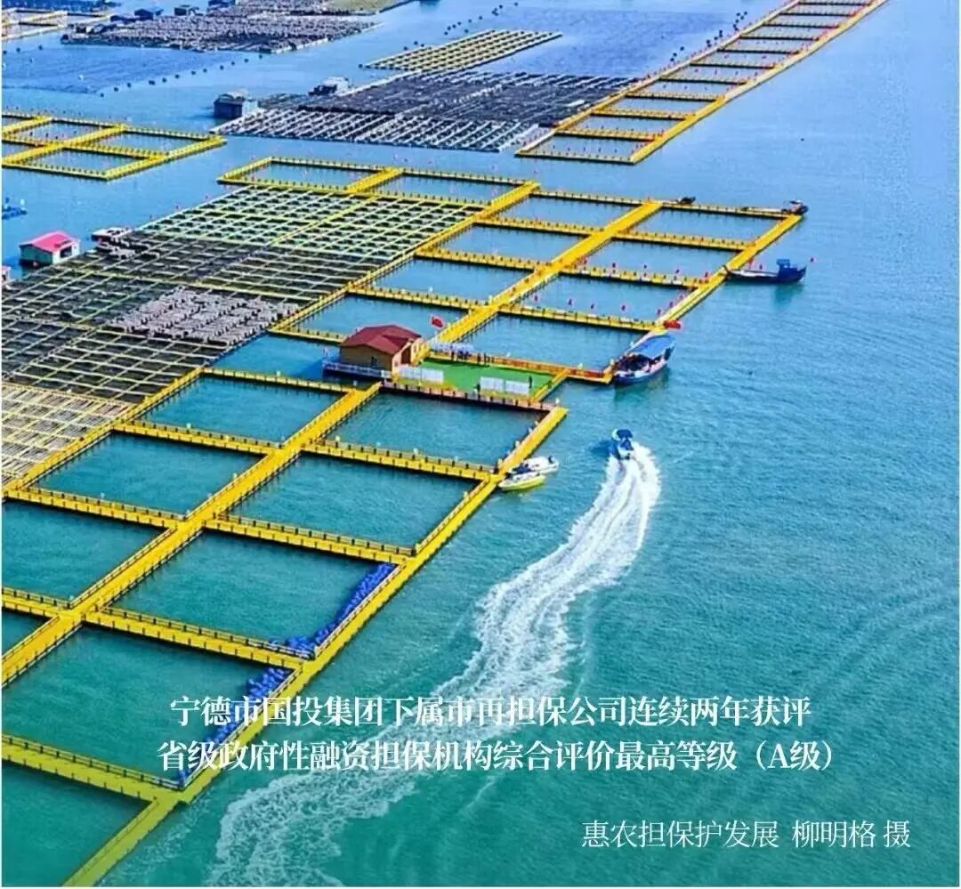 市再担保公司在全省金融系统党的建设工作会议上作经验交流